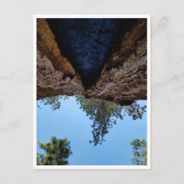 Sequoia nationalpark: Hund dagar Vykort