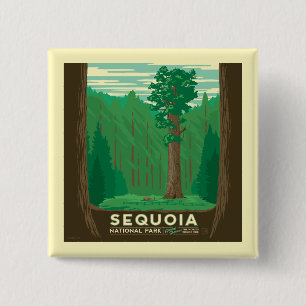 Sequoia nationalpark knapp