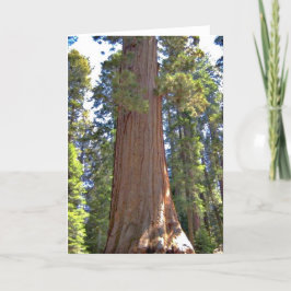 Sequoia nationalpark kort