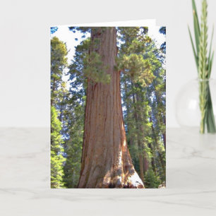 Sequoia nationalpark kort