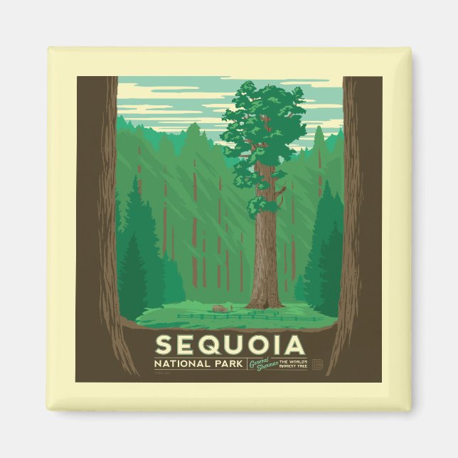 Sequoia nationalpark magnet (Framsidan)