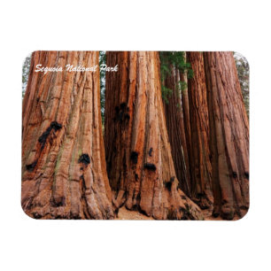 Sequoia nationalpark magnet