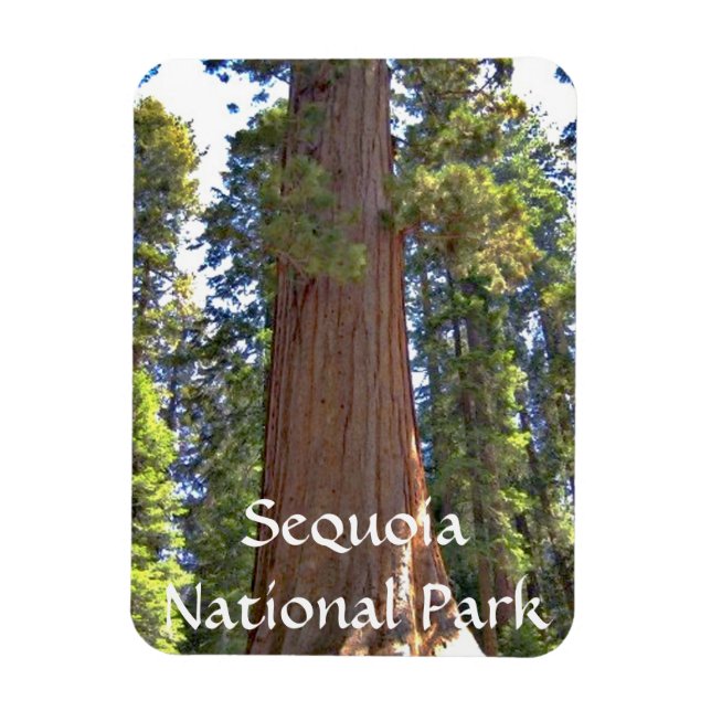 Sequoia nationalpark magnet (Vertikal)