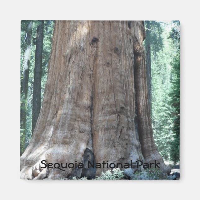 Sequoia nationalpark magnet (Framsidan)
