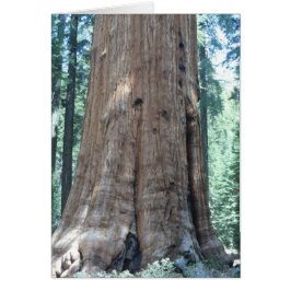 Sequoia nationalpark OBS kort