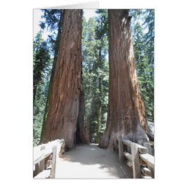 Sequoia nationalpark OBS kort