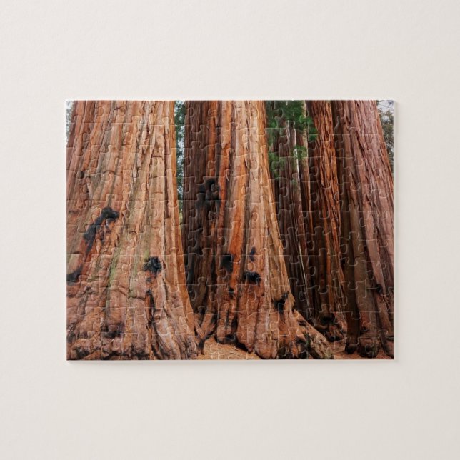 Sequoia nationalpark pussel (Horisontell)