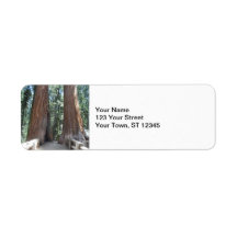 Sequoia nationalpark