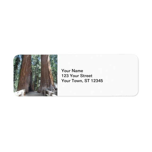 Sequoia nationalpark returadress etikett (Framsidan)