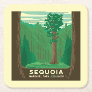 Sequoia nationalpark underlägg papper kvadrat