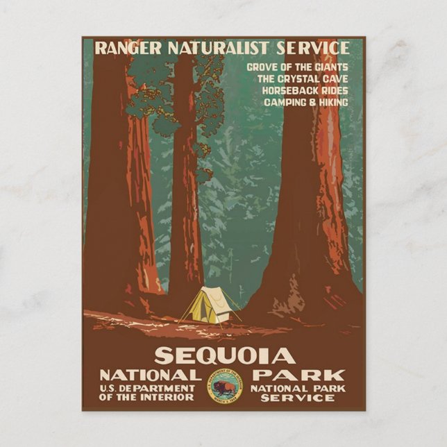 Sequoia nationalpark vykort (Framsida)