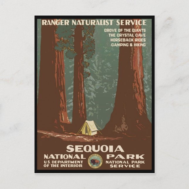 Sequoia nationalpark vykort (Framsida)