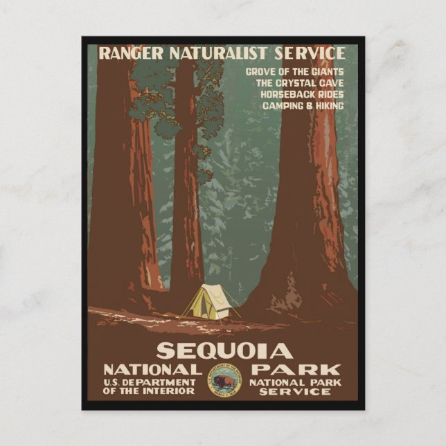 Sequoia nationalpark vykort (Framsida)