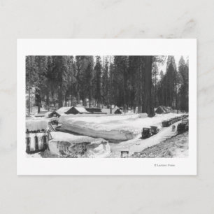 Sequoia nationalparken Snö Scene i byn Vykort