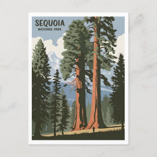 Sequoia nationalparkens vintage vykort