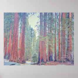 Sequoia nationalparks landskap poster