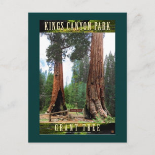 SEQUOIA NAT'L PARK-California General Grant Vykort