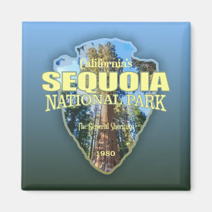 Sequoia NP (pilhuvud) Magnet