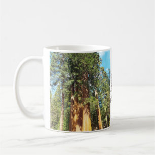Sequoia och Kung Canyon National Parker Kaffemugg