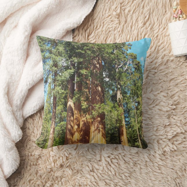 Sequoia och Kung Canyon National Parker Kudde (Filt)