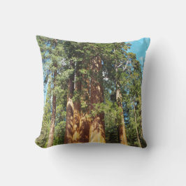 Sequoia och Kung Canyon National Parker Kudde