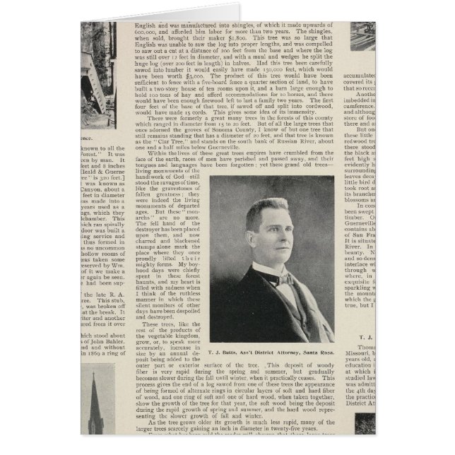 Sequoia of Sonoma, Kalifornien Hälsningskort (Framsidan)