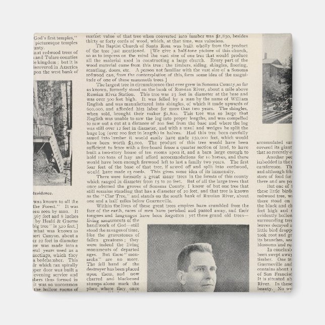 Sequoia of Sonoma, Kalifornien Magnet (Framsidan)