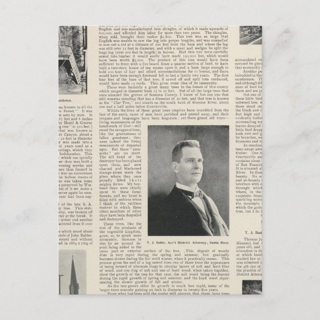 Sequoia of Sonoma, Kalifornien Vykort (Framsida)