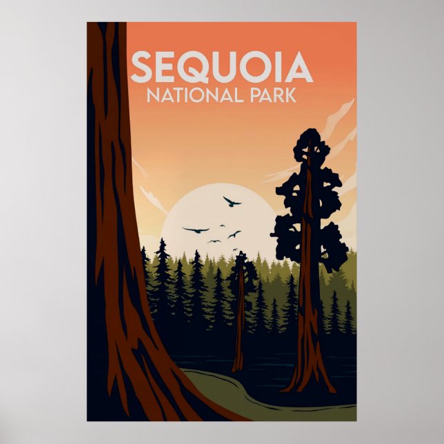 Sequoia Poster (Framsidan)