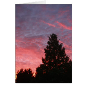 Sequoia Sunrise Hälsningskort