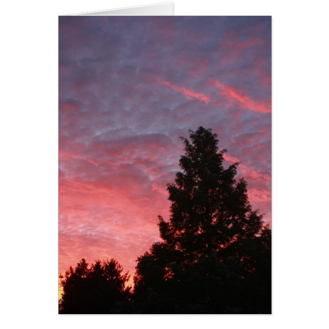 Sequoia Sunrise Hälsningskort (Framsidan)