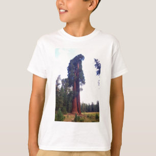 Sequoia Tee