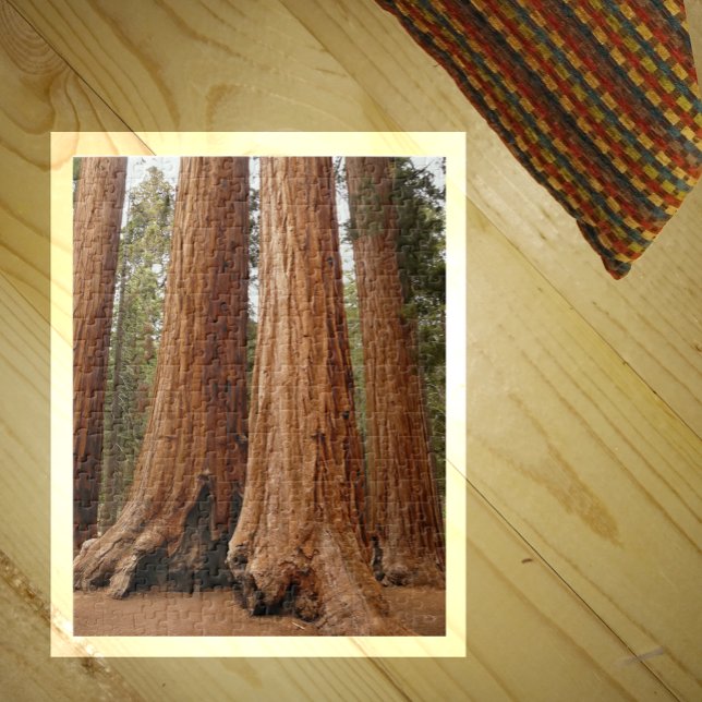 Sequoia Träd, Sequoia National Park, Kalifornien Pussel (Skapare uppladdad)