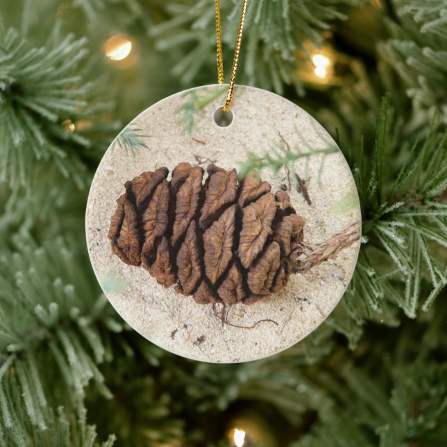 Sequoia Tree Cone, Giant Redwood Ornament (Träd)