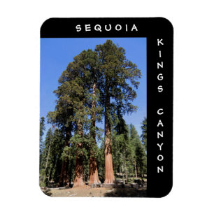 Sequoiaen görar till kung kanjonmagneten magnet