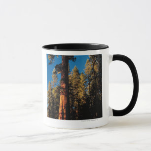 Sequoianationalpark, Kalifornien 2 Mugg