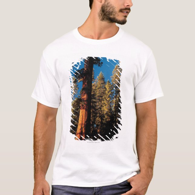 Sequoianationalpark, Kalifornien 2 T-shirt (Framsida)