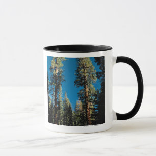 Sequoianationalpark, Kalifornien Mugg
