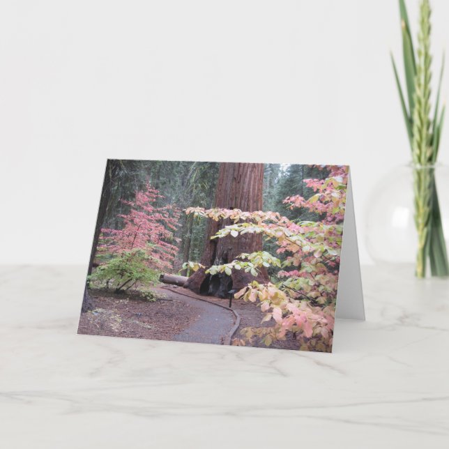 Sequoianationalpark Kort (Framsida)