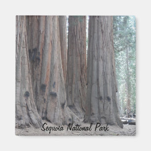 Sequoianationalpark Magnet
