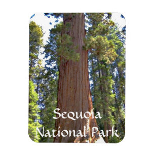 Sequoianationalpark Magnet