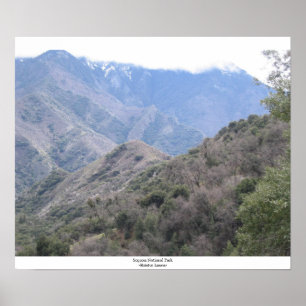 Sequoianationalpark Poster