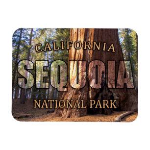 Sequoianationalparkmagnet Magnet