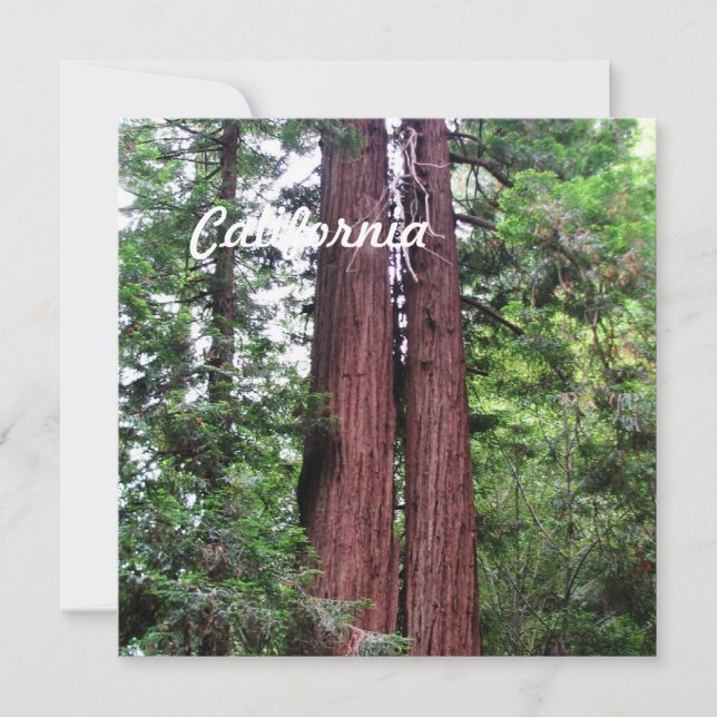 Sequoias (Framsida)