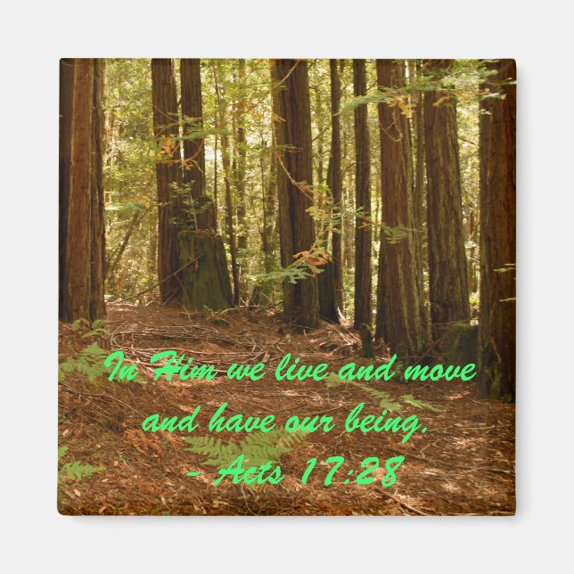 Sequoias Magnet (Framsidan)