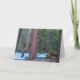 Sequoias & Merced River Yosemite National Park, CA Kort