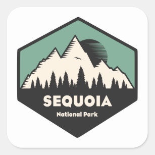 Sequoias nationalpark fyrkantigt klistermärke