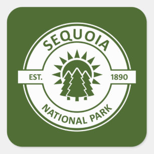 Sequoias nationalpark Sol Träd Fyrkantigt Klistermärke