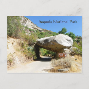 Sequoias nationalpark/tunnelns Sten-vykort! Vykort