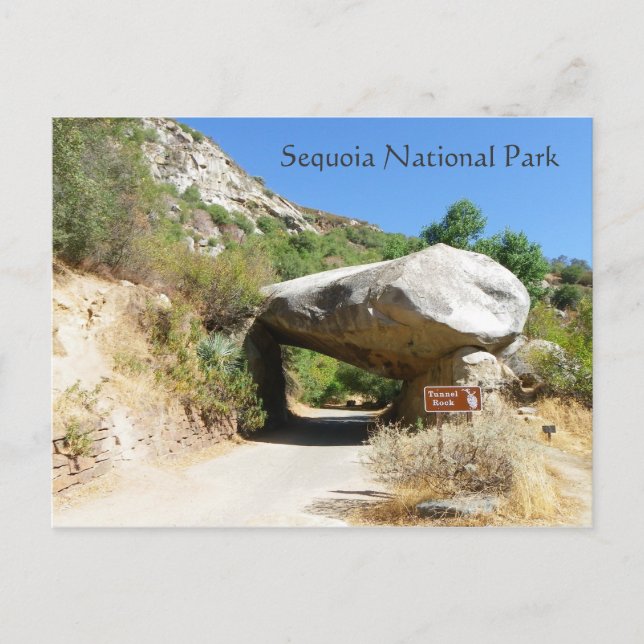 Sequoias nationalpark/tunnelns Sten-vykort! Vykort (Framsida)